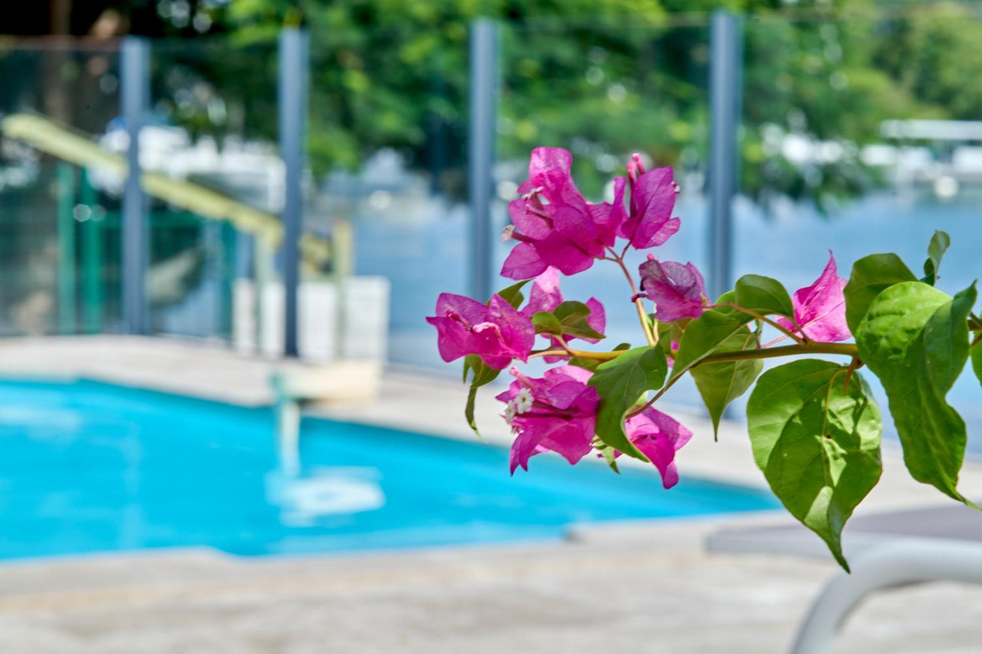 Petite-perle, Magnifique Sur La Marina
